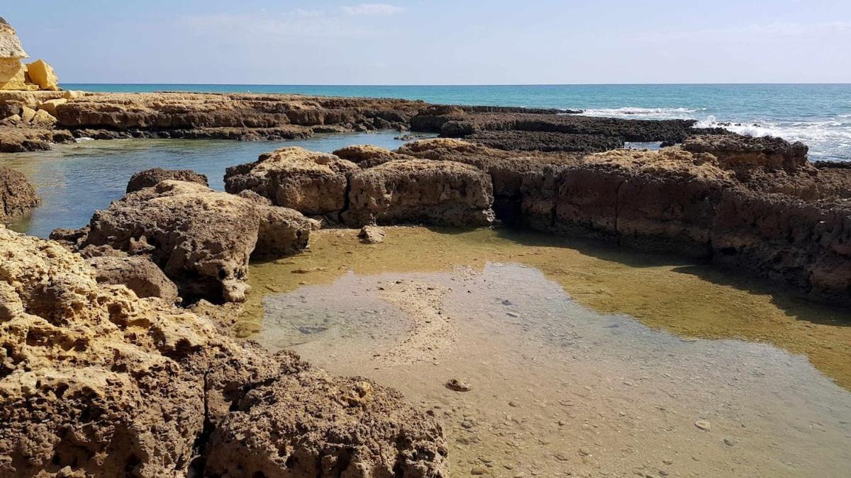Albufeira Sea View 아파트 외부 사진