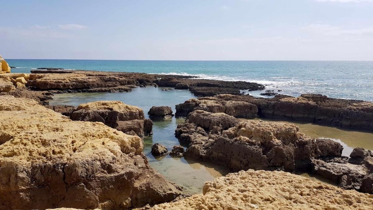 Albufeira Sea View 아파트 외부 사진